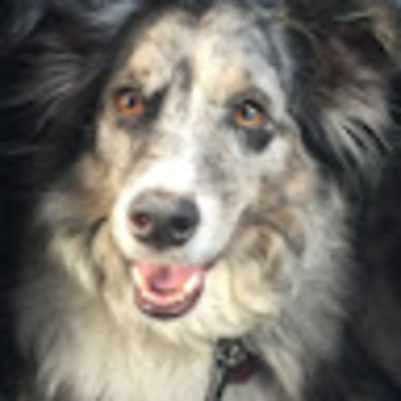 Meet your Posher, Sarah - Picture 1 of 1